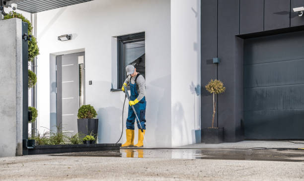 Best Animal Enclosure Cleaning  in Spring Lake, MI